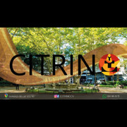 CITRINO