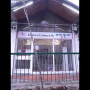 ESTETICA CANINA LILY