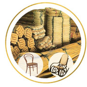 EL EMPORIO DE LA ESTERILLA 2