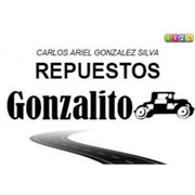 REPUESTOS GONZALITO