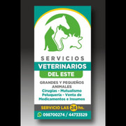 SERVICIOS VETERINARIOS DEL ESTE