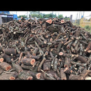 LEÑERIA LEÑA PARA EL CARBÓN