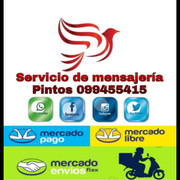 Servicio de Mensajería Pintos Yah