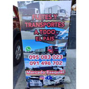 TRANSPORTES KR & MERCADO EZEQUIEL
