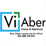 VIABER