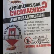 MOSQUI JAV