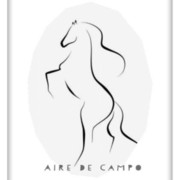 AIRE DE CAMPO
