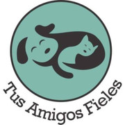 TUS AMIGOS FIELES
