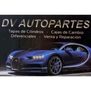 DV AUTOPARTES