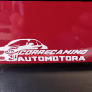 CORRECAMINOS AUTOMOVILES Y RESPUESTOS