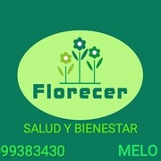 FLORECER