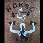 HORSE GYM