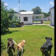 LOS MIMOSOS HOTEL DE MASCOTAS