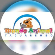 MUNDO ANIMAL TACUAREMBO