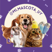 MI MASCOTA
