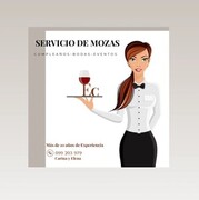 EC SERVICIOS DE MOZAS