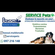 SERVICE PETS