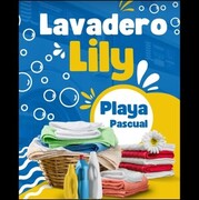 Lavadero Lily