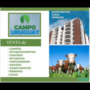 CAMPO URUGUAY