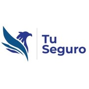 Tu Seguro Seguros