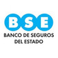 BSE de SEGUROS VEHICULOS en PUEBO RISSO