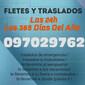 FLETES Y TRASLADOS de PRODUCTOS VETERINARIOS en GEANT