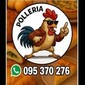 POLLO LOCO de MENU DEL DIA en SOLANAS