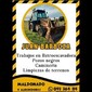 JUAN BARBOZA de ALQUILER RETROEXCAVADORA en PROGRESO