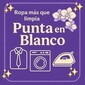 PUNTA EN BLANCO de LIMPIEZA SECO ALFOMBRAS en BLANQUILLO