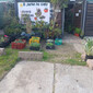 EL JARDIN DE GABY de SEMILLAS DE CESPED en PRUEBA
