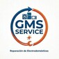 GMS SERVICE de EMPRESAS en ZONA