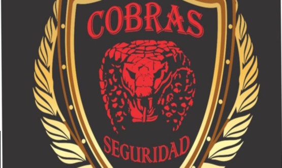 COBRAS SEGURIDAD