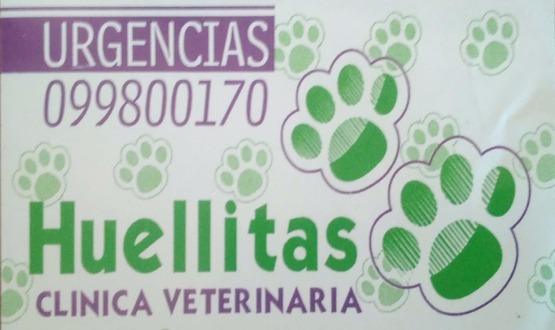 Huellitas Clinica Veterinaria Accesorios Mascotas Paysandu Guia Movil 1122